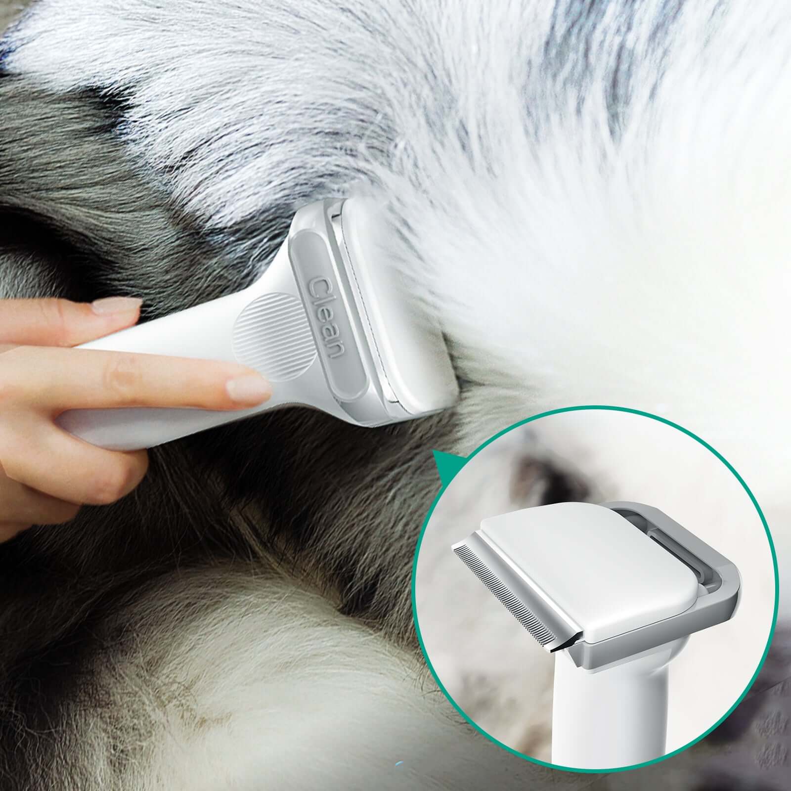 INSE P20 Pro Dog Grooming Kit Pet Hair Clipper Vacuum for Dog Cat - Image 3