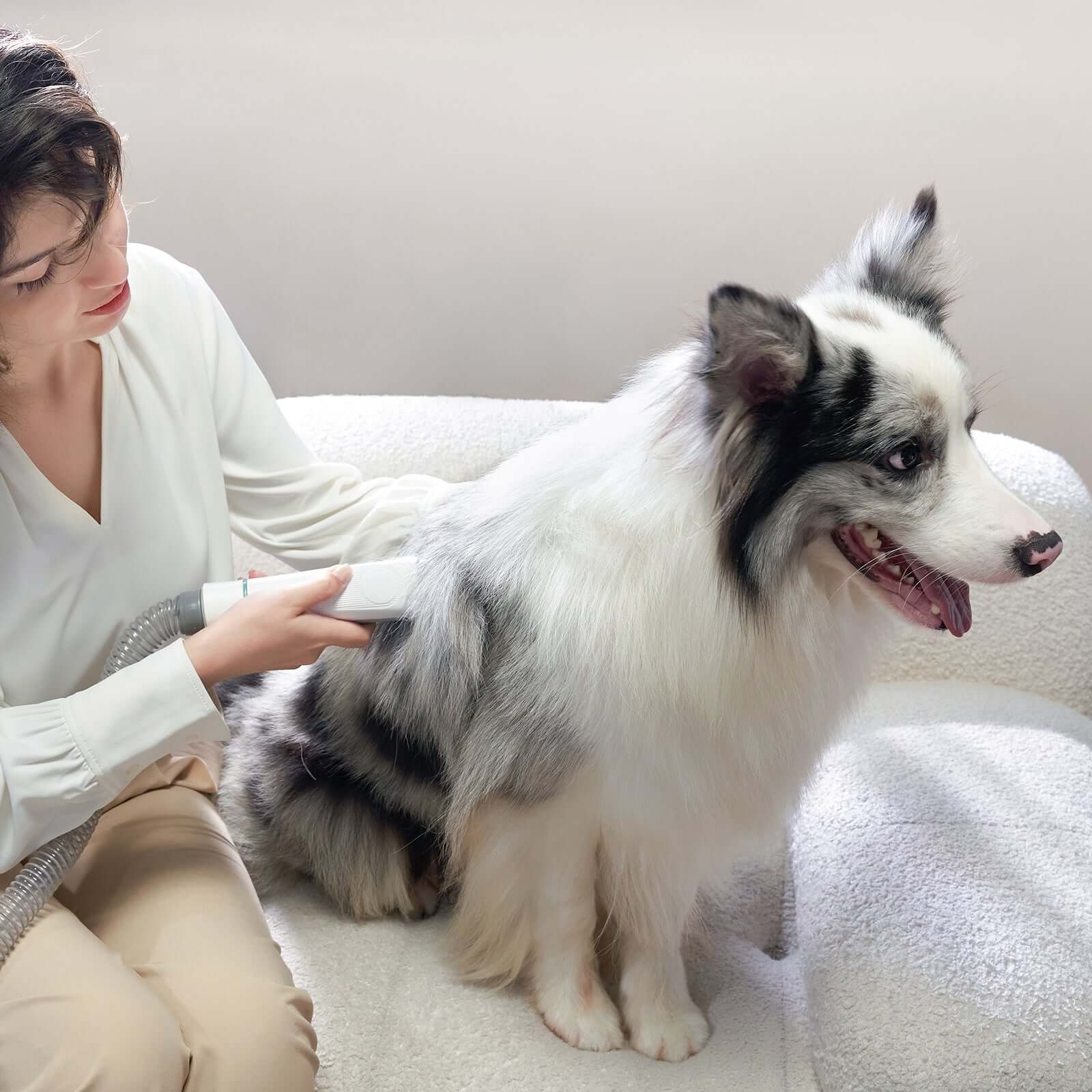 INSE P20 Pro Dog Grooming Kit Pet Hair Clipper Vacuum for Dog Cat - Image 4