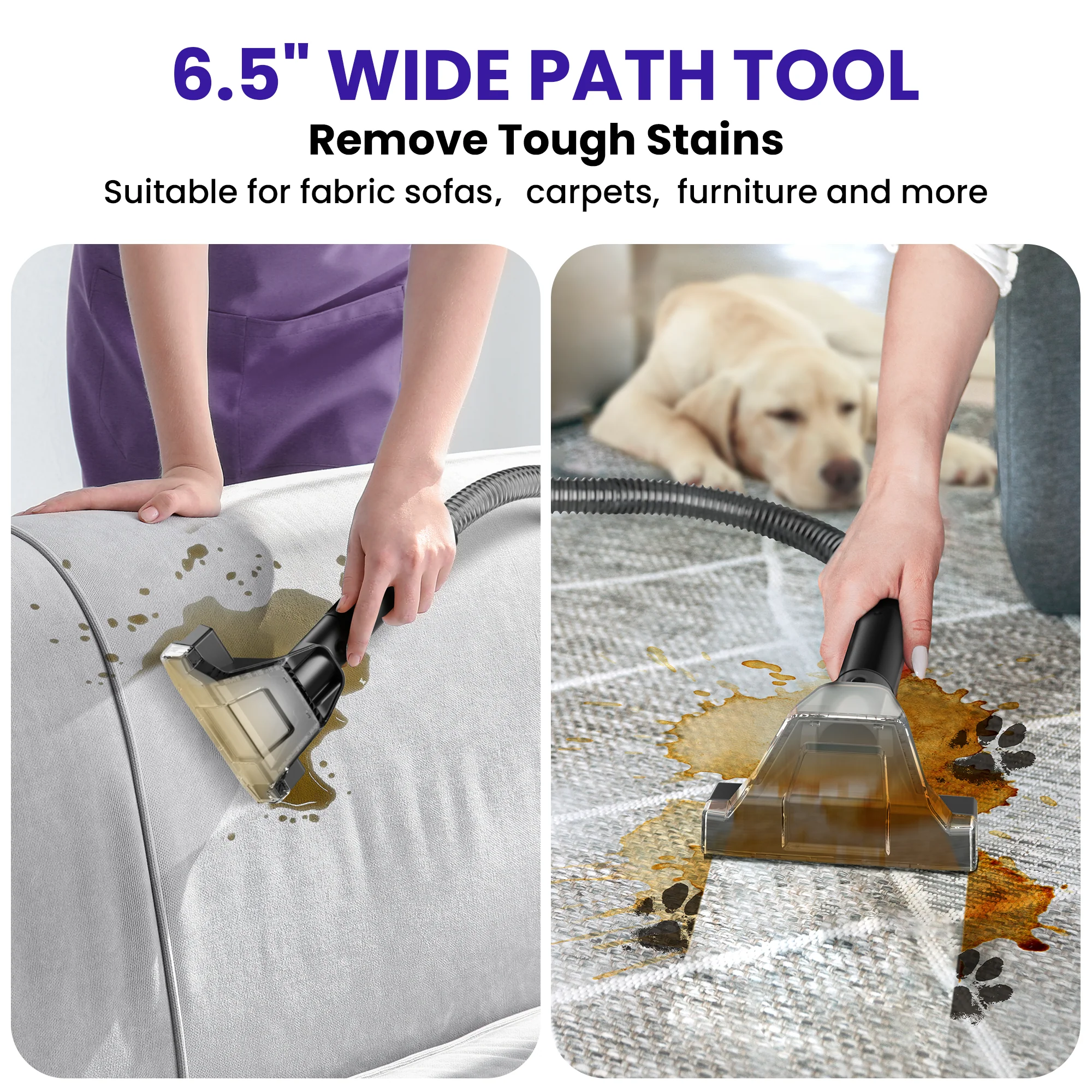 INSE Upholstery Carpet Cleaner Includes 8.5oz Deep Clean Pro Formula, C7 - Image 5